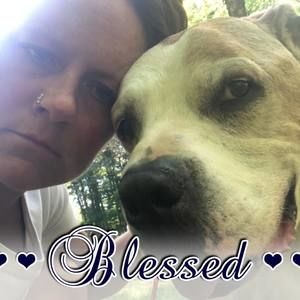 Meet your Posher, Tracy